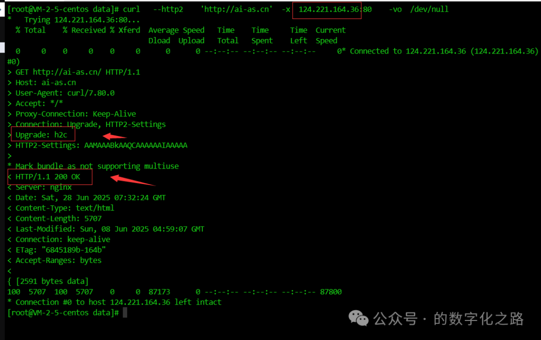 HTTP/2 Origin Trap: Cache Invalidated, Website Crashes Instantly?!