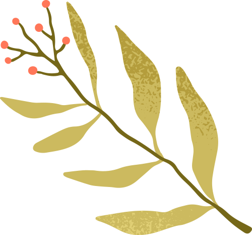 Tracking Academic Frontiers: Reports on CNS Medicine and Biology Publications by Chinese Scholars in 2025