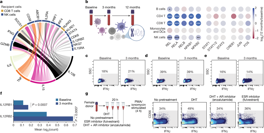How to Use MATLAB to Retrieve All Illustrations from Nature (Including Images from 2023-2025)