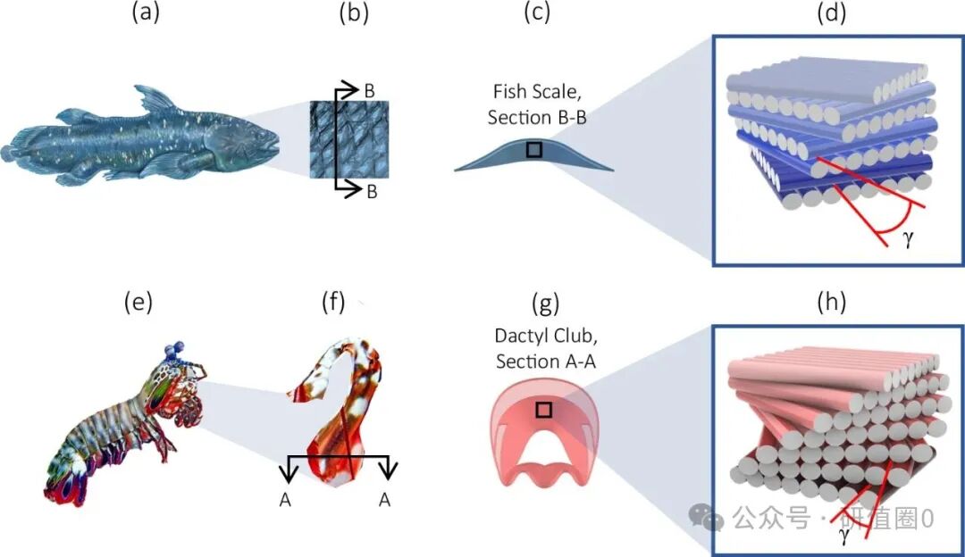 63% Toughness Leap: 3D Printed Double Helix Structure Concrete by Robots