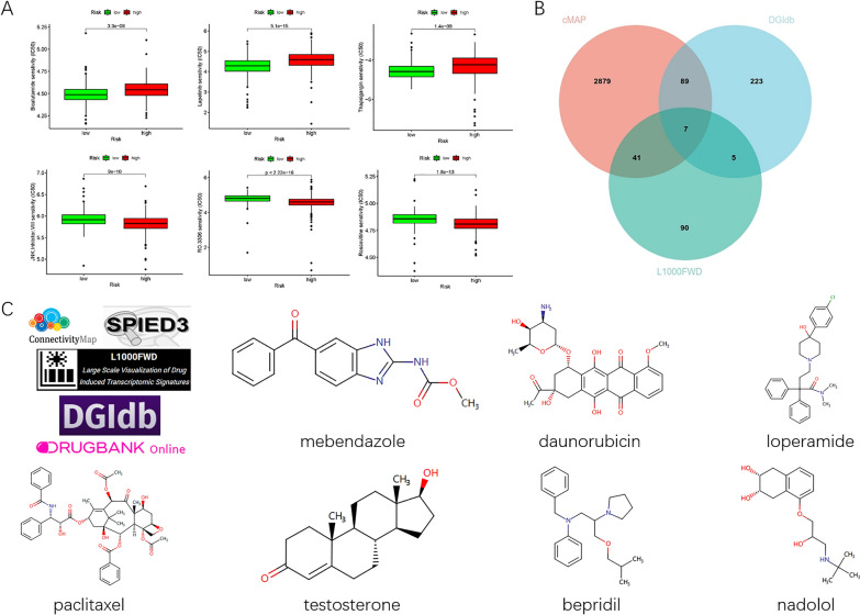 A Novel Stemness-Related lncRNA Signature Predicts Prognosis, Immune Infiltration, and Drug Sensitivity in Clear Cell Renal Cell Carcinoma