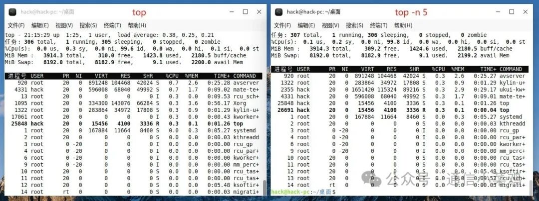 Basic Knowledge of Linux System: Detailed Explanation of the top Command