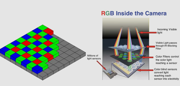 How Do In-Car Cameras See the World?