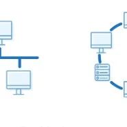 Bus, Star, and Ring: Which Network Topology Will You Choose?