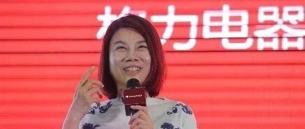 Dong Mingzhu Resigns as Chairman of Gree Chip Company, Claims No State Funding for Chip Development