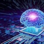 Specific Applications of Lightweight Neural Network Models in Smart Edge Sensors