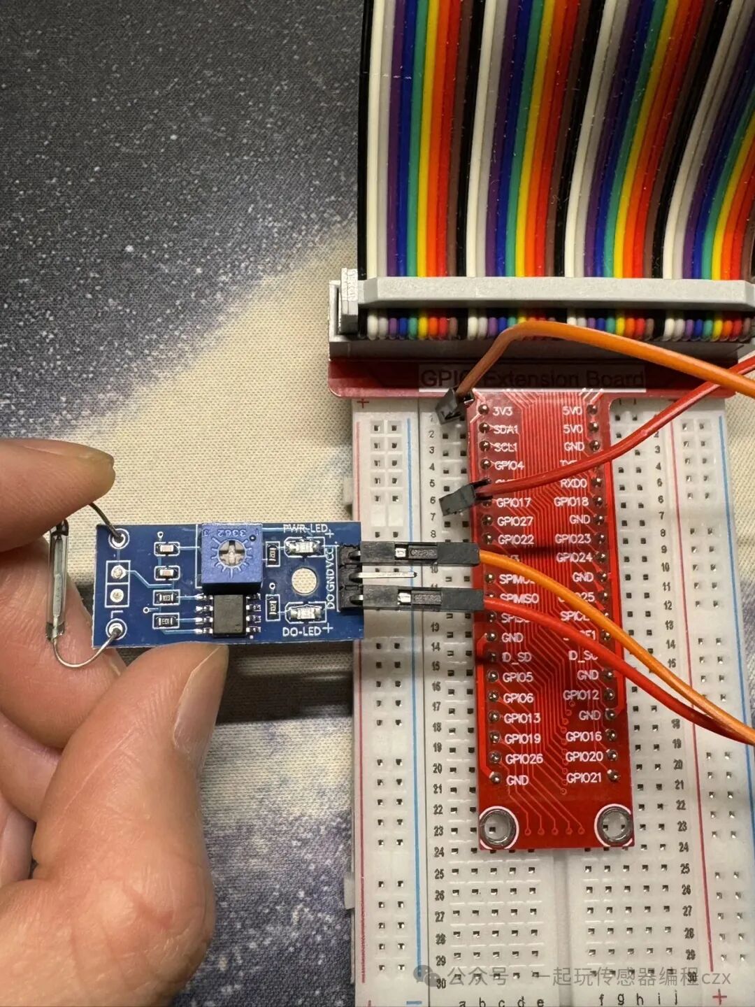 10. Reed Switch Sensor