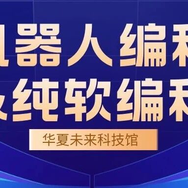 How to Choose Between Robot Programming and Pure Software Programming?