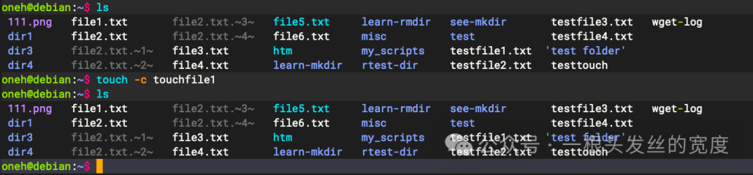 Chapter 2: Basic Linux Commands, Practical Examples of the [touch] Command