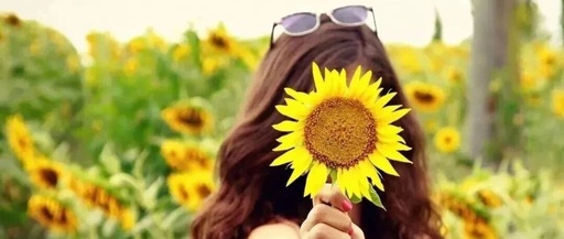 My Journey with PCBs