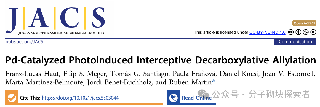 Photoinduced Decarboxylative Allylation: Dual Atom Substitution for sp3 Fragment Skeleton Editing