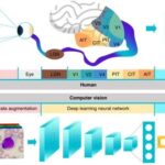 A Novel Label-Free Method for High-Throughput Single-Cell Analysis Integrating Computer Vision and Microfluidics