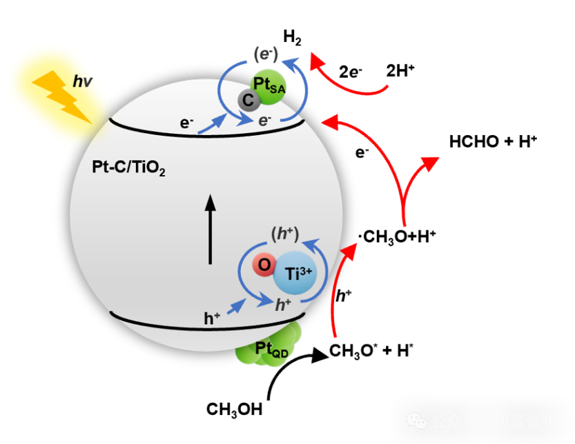 Synergy between Unique Pt-C Coordination and Pt Quantum Dots on TiO2 for Exceptional Photocatalytic Methanol Dehydrogenation Performance