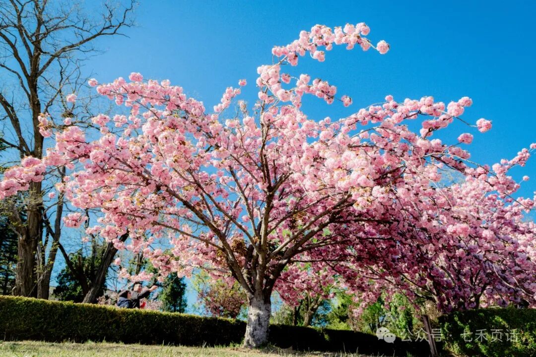 Cloud Native | 100 Virtualization Basics Q&A (Part 1), Recommended for Collection!