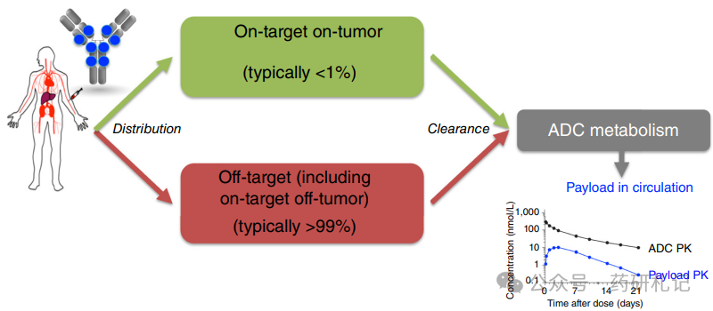 The Development History of ADC Over 40 Years (Part 3)