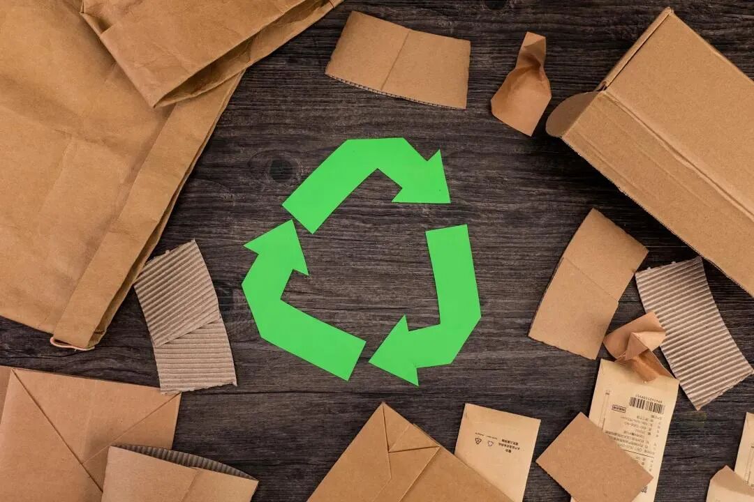 Building a Waste Recycling System: How the Energy Industry in These Four Provinces is Seizing Opportunities?
