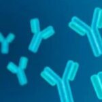 The Development History of ADC Over 40 Years (Part 2)