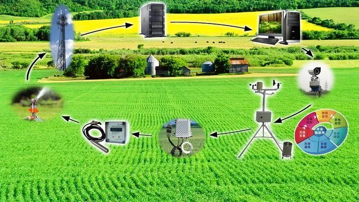 Application of Wireless Sensor Networks in Precision Agriculture
