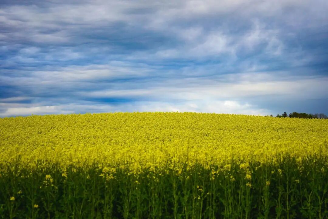 How to Meet the Requirement of "Payable in Country X" for Bank Guarantees? R818(TA799rev)