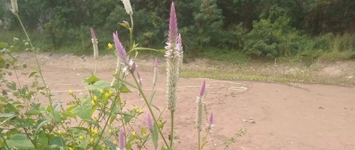 Rewriting Examples of Modern X86 Assembly Language Programming in C Language and AT&T Assembly Format (Part 15)