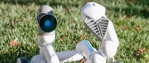 Renaissance in the Age of AI