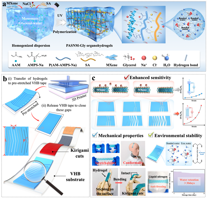 Kirigami Structure Hydrogel Strain Sensors Empower Human-Machine Interaction Applications and Morse Code Recognition