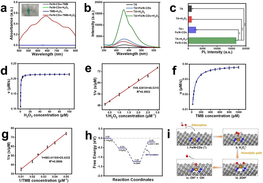 Literature Sharing | C.E.J | Fe/N-Doped Carbon Dots-Based Nanozyme with Super Peroxidase Activity, High Biocompatibility, and Antibiofilm Ability for Food Preservation