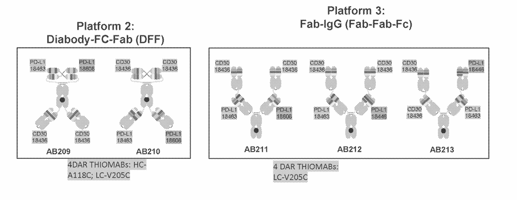 The Arrival of Quadruple Antibody-Drug Conjugates (ADCs)