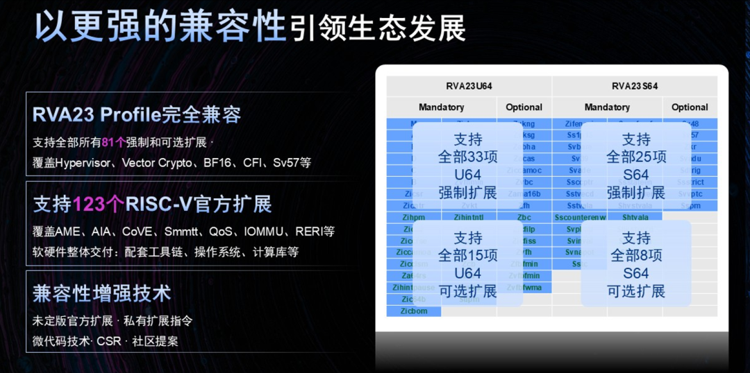 Domestic Chip Dark Horse Paves New Path for "Unified Computing and AI" RISC-V Chips