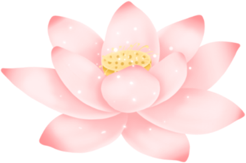 Conditions for Information Encryption Using Algorithms E and D