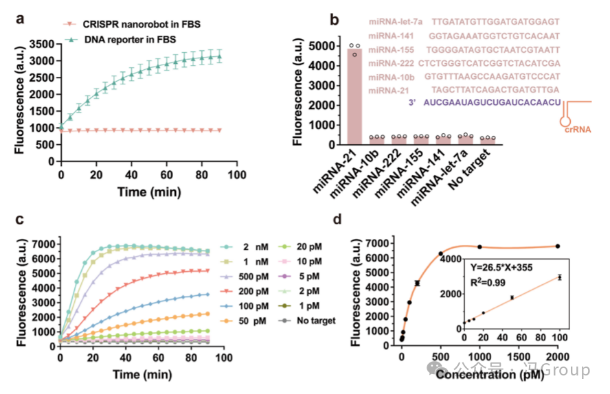 RNA-Activated CRISPR/Cas12a Nanorobots Operating in Live Cells