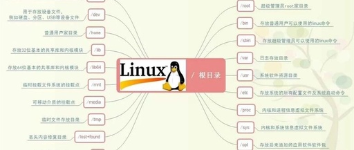 A Beginner's Guide to Understanding the Linux Directory Structure