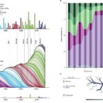 How to Use MATLAB to Retrieve All Illustrations from Nature (Including Images from 2023-2025)