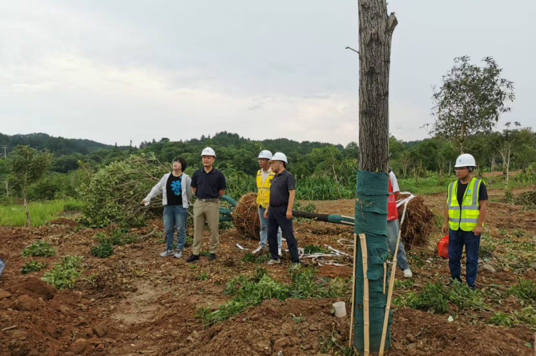 Innovative Case of Party Building: Strengthening Project Supervision through Embedded Oversight