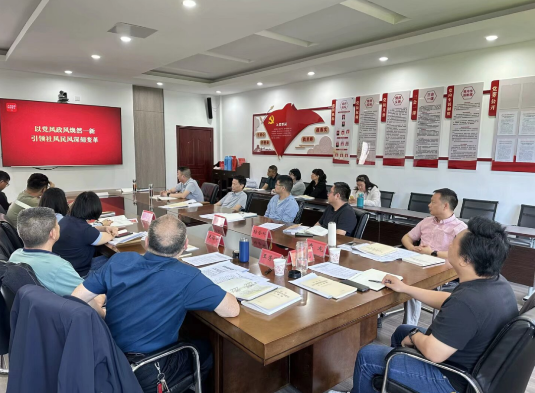 Innovative Case of Party Building: Strengthening Project Supervision through Embedded Oversight