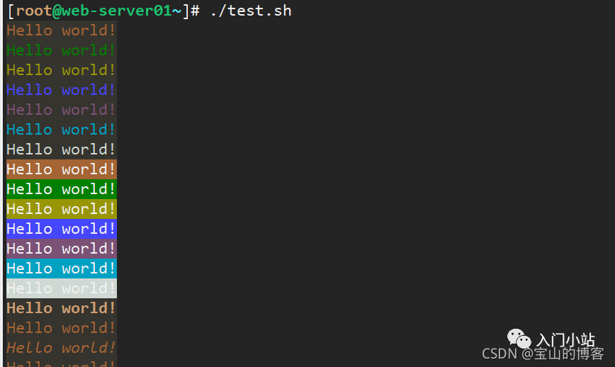 A Comprehensive Guide to Shell Scripting from Basics to Practical Applications