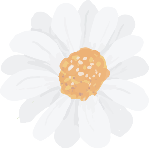 Simulation of a Single-Phase AC Voltage Controller with Two Back-to-Back Thyristors (Simulink Implementation)
