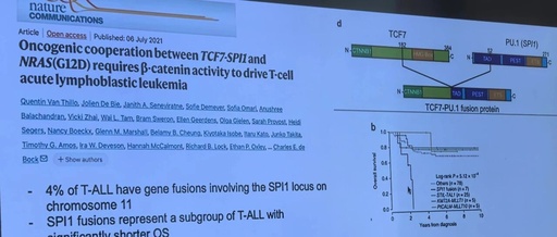 Children's T-ALL Fusion Gene TCF7::SPI1 Positive with NRAS Mutation: Poor Prognosis