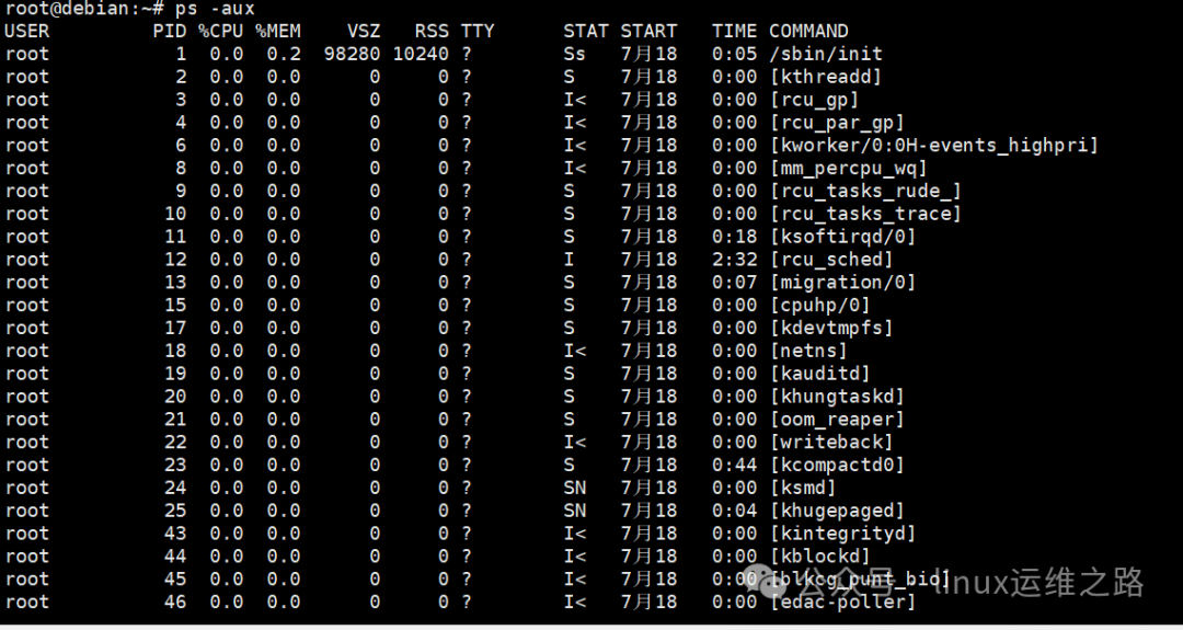Linux Command Line: A Practical Guide to Mastering the ps Command