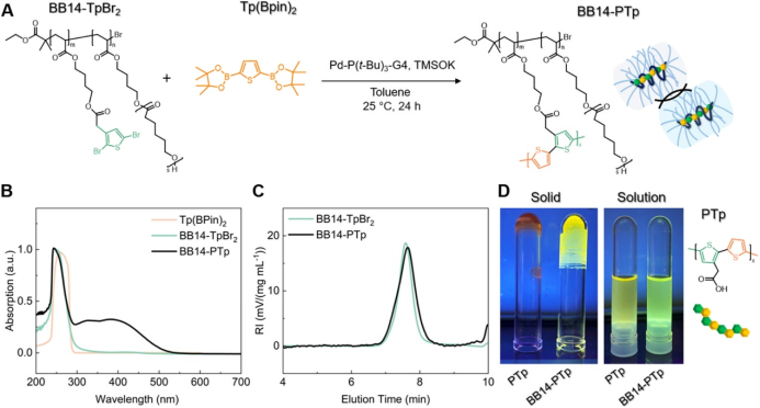Single-Molecule Reactor Based on the Excluded Volume Effect of Bottlebrush Polymers