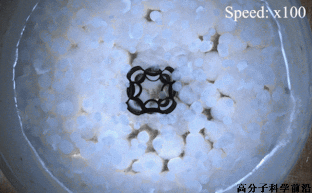 A New Paradigm for Programming Magnetic-Controlled Microrobots: A Joint Achievement by Xi'an Jiaotong University, City University of Hong Kong, and the Max Planck Institute Published in PNAS!