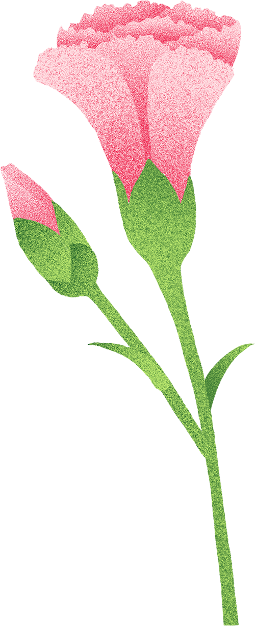 Applications and Prospects of AI Agents in the New Materials Field