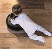 Are Robots About to Dominate Humanity? No, They Are Already Fighting Each Other!