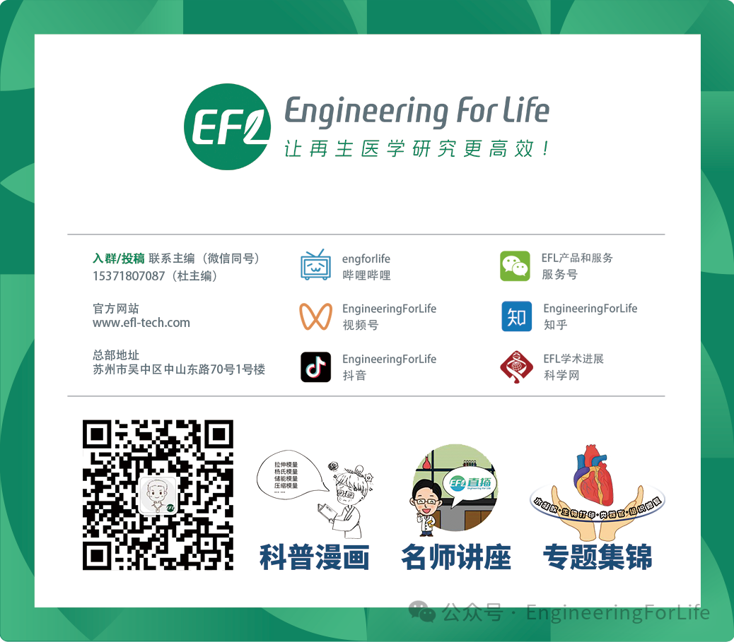 New Strategies for Cancer Treatment Using Copper Ions: Insights from Cuproptosis