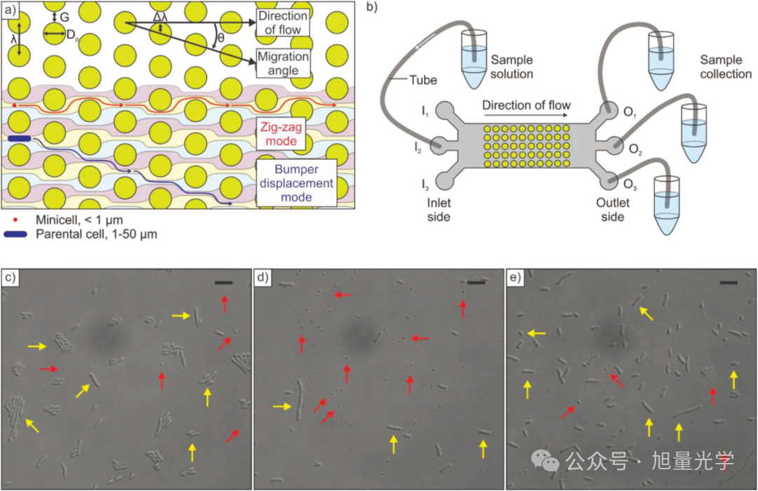3D Printing Issue 5: Breakthrough in Embedded Microfluidic Chips via Two-Photon Lithography