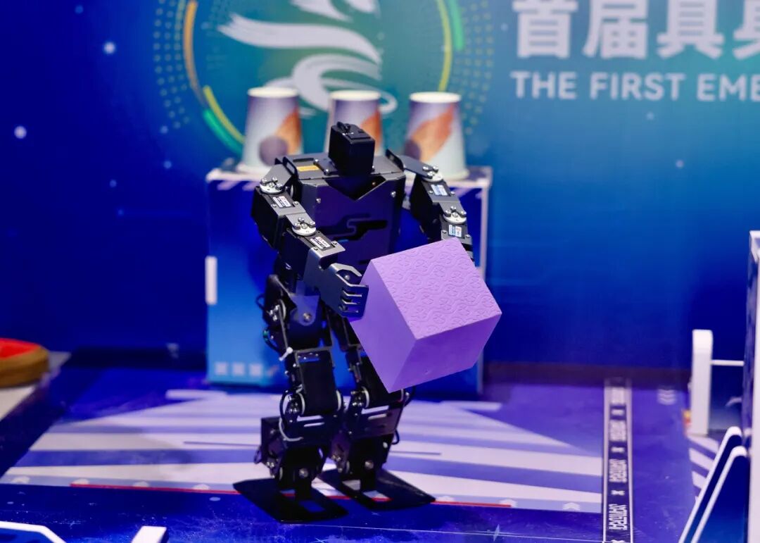 Diverse Robot Competitions: How Far Are We from Commercial Applications?