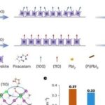 Wuhan University Scientists Breakthrough New Strategy for Photovoltaic Device Bottlenecks!