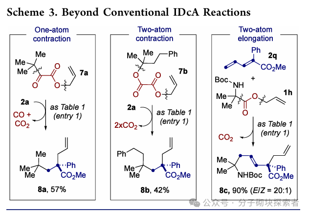 Photoinduced Decarboxylative Allylation: Dual Atom Substitution for sp3 Fragment Skeleton Editing