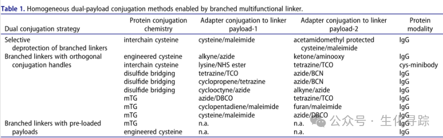 New Pathway for ADCs - Dual Payload ADCs