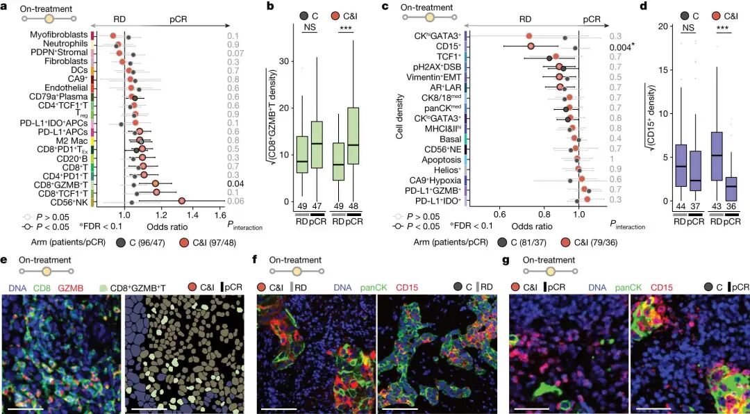 How to Use MATLAB to Retrieve All Illustrations from Nature (Including Images from 2023-2025)